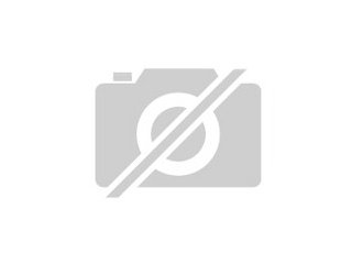 Suche 2 frettchen rüden kastriert